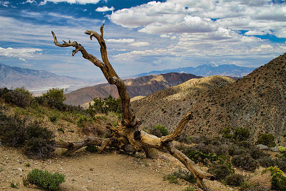 _MG_1017-Edit