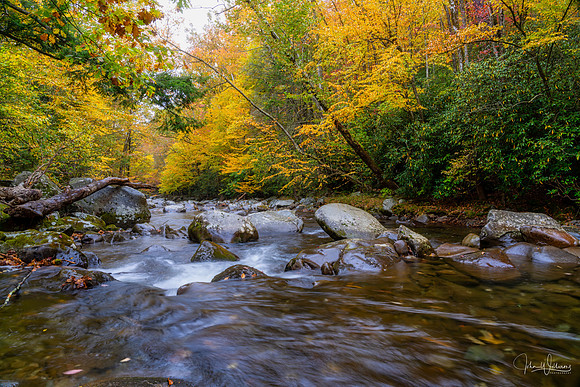 JW-20191025-_DSC0440_Luminar3-edit