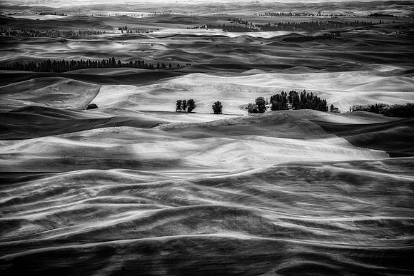 Palouse Textures