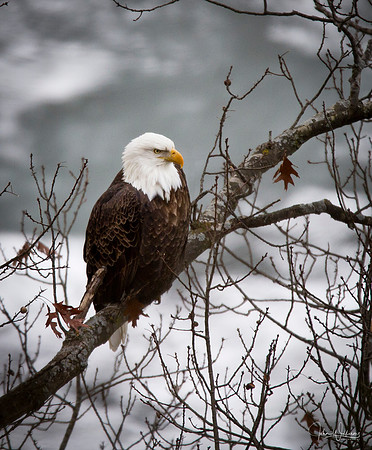 JW-_MG_1400-Edit
