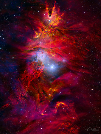 NGC2264_Christmas Tree Nebula