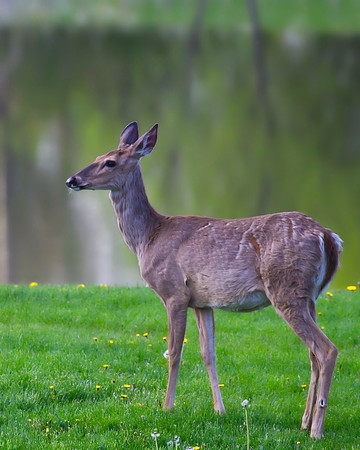 JW-_MG_0380-Edit
