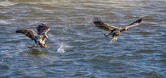 JW-20130119-_MG_1662-Edit-2