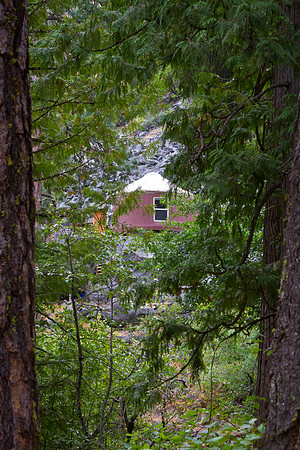 Steph & Drew's Yurt