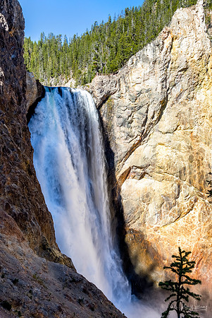 Yellowstone Falls