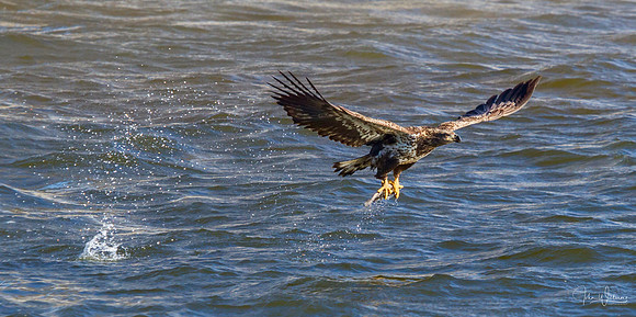 JW-20130119-_MG_1665-Edit