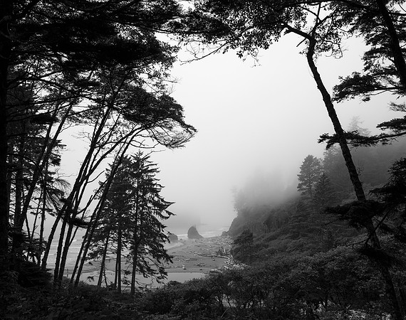 Olympic Coast & Ruby Beach