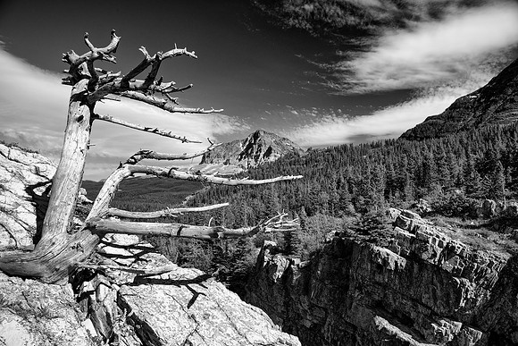 Cliffs of Swift Current River