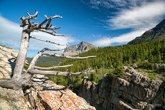 Swift Current Cliffs