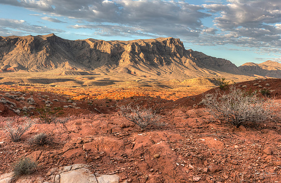 Morning Light at Valley of Fire