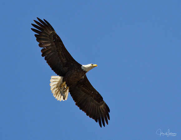 JW-20110504-_MG_2133