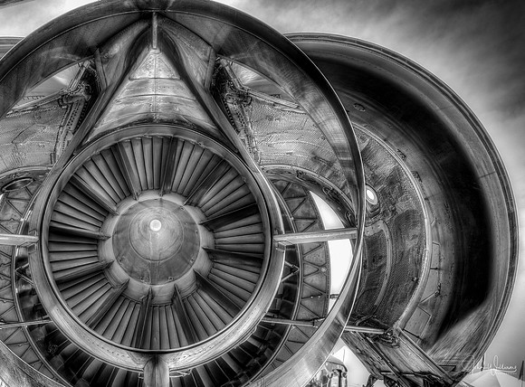 Turbine WIngs