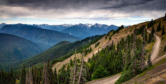 Hurricane Ridge