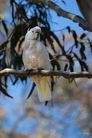 JW-20131118-_O5A3033