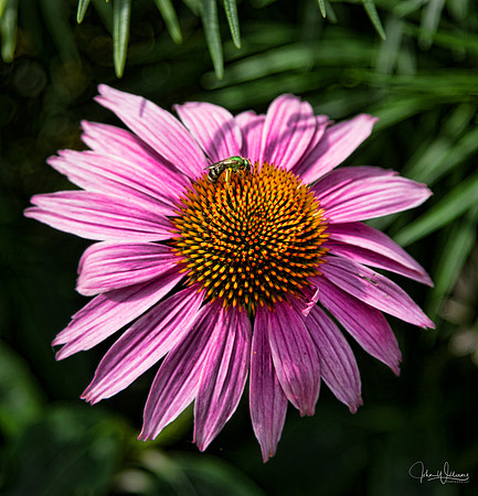 JW-20120623-_MG_7889-Edit