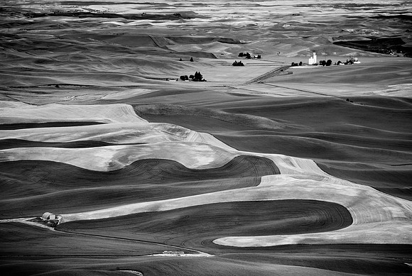 Palouse Landscape