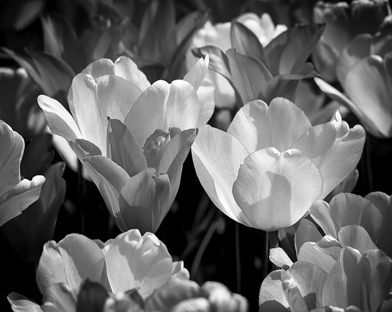 JW-20150502-_P8A0333