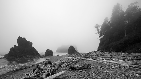 Pacific Coastline