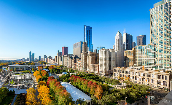 Fall in Chicago