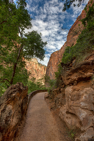 The River Trail of Zion