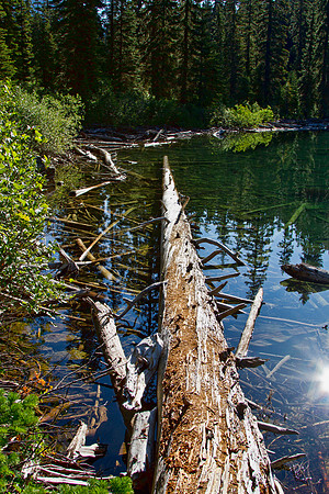 Trail to Rainy Lake