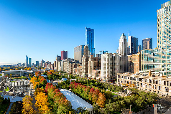 Fall in Chicago