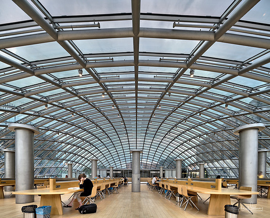 UC Mansueto Library
