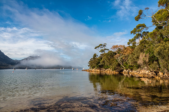 Morning in Tasmania