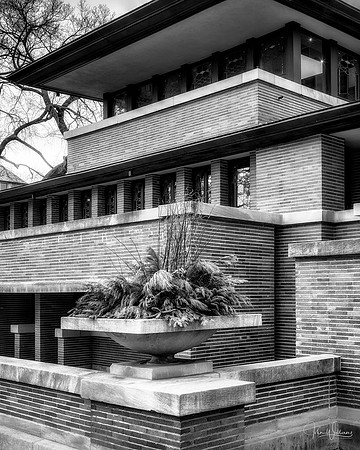 Frederick C. Robie House