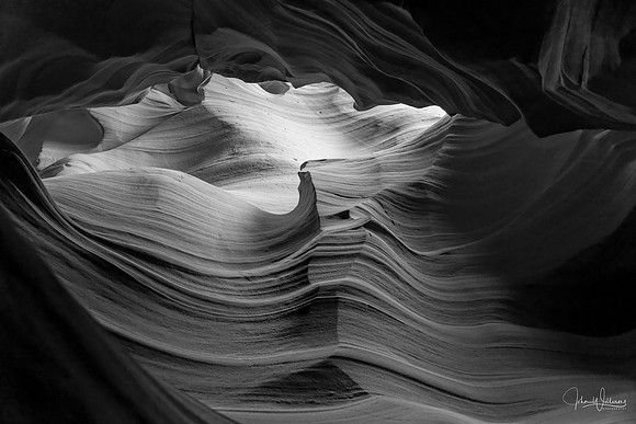 Antelope Light Flow
