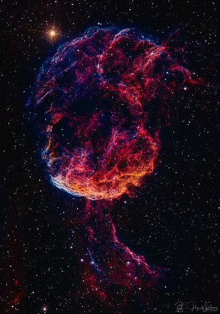 IC443 Jellyfish RGBSHO TRAC Portrait